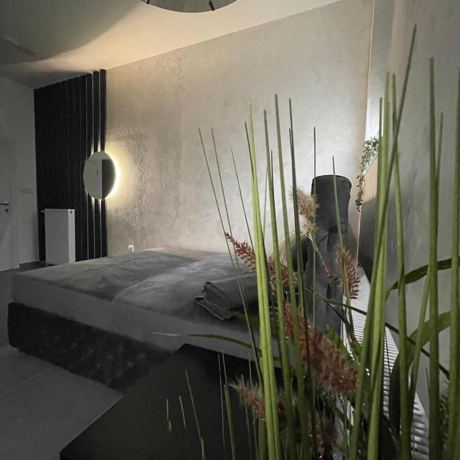 Tepic Garni Hotel Temerin Eksteriør billede