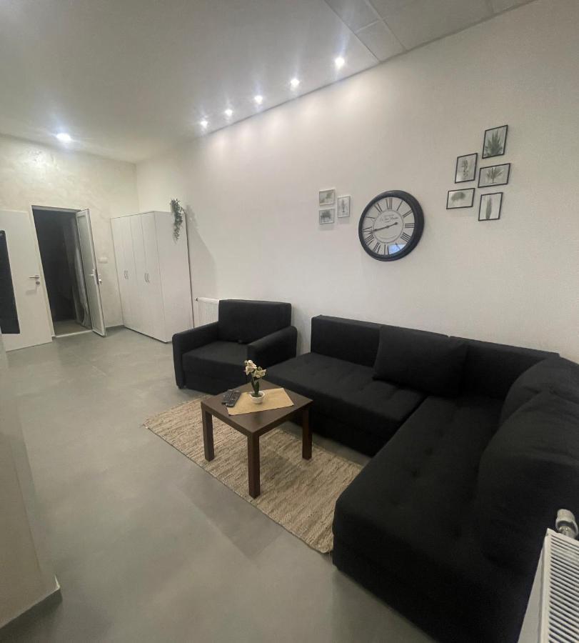 Tepic Garni Hotel Temerin Eksteriør billede